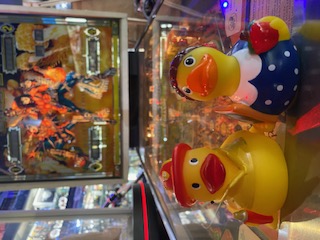 Pinball Ducks