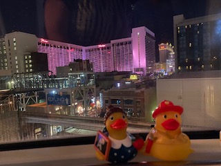 Ducks in Vegas