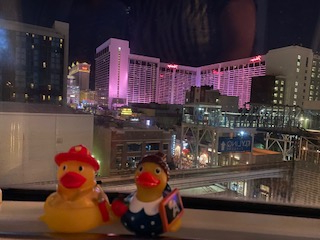 Ducks in Mirror World (flipped horizontally)