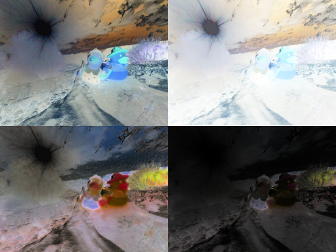 Light ducks of the inverted realities (inverted)