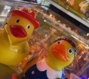 Pinball Ducks Rotated with a Crop
