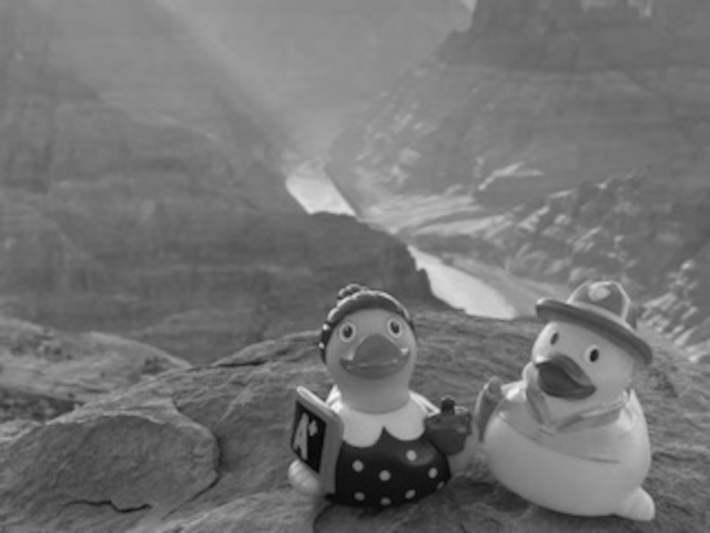 Ducks in a canyon sapped of their color (scaled with black and white)